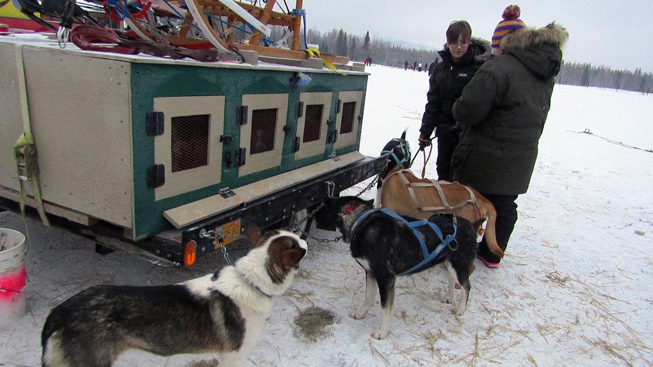 Mushing School